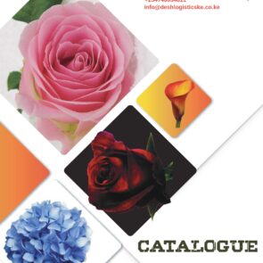 desh-1_page-0001 Catalogue
